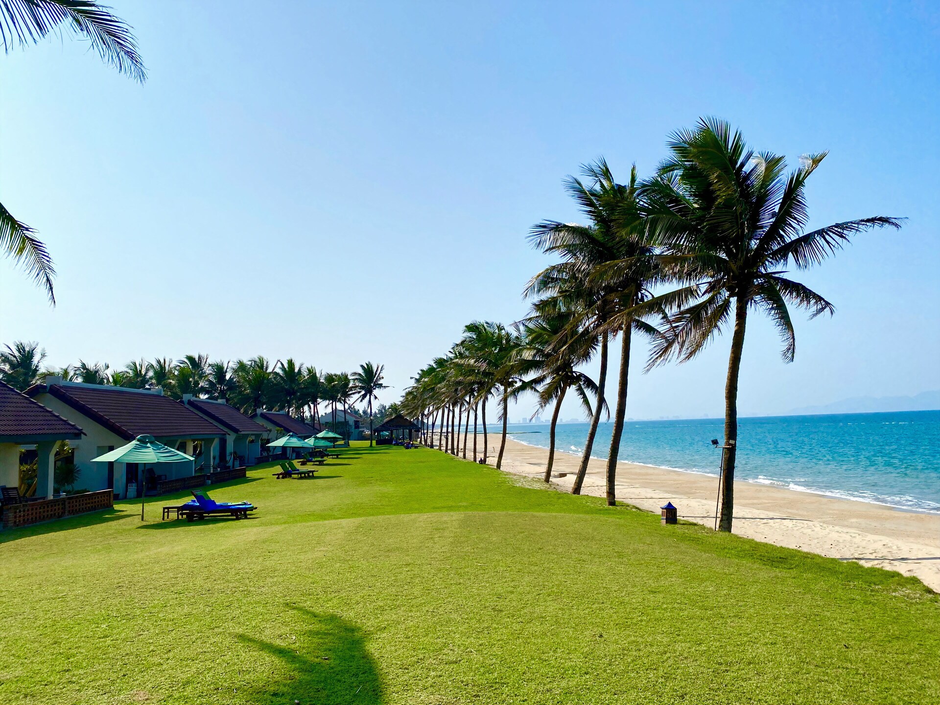 Lagoon pool lined with palms