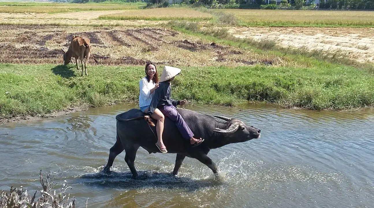 City and countryside tour of Hội An